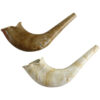Plastic Shofar Natural Colour