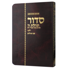 Siddur Annotated Hebrew with English Instructions Compact Edition